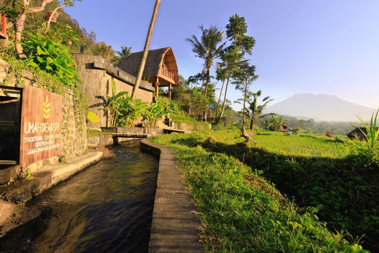 Romantic Barn With Mt. Agung Views ซิเดอมัน ภายนอก รูปภาพ