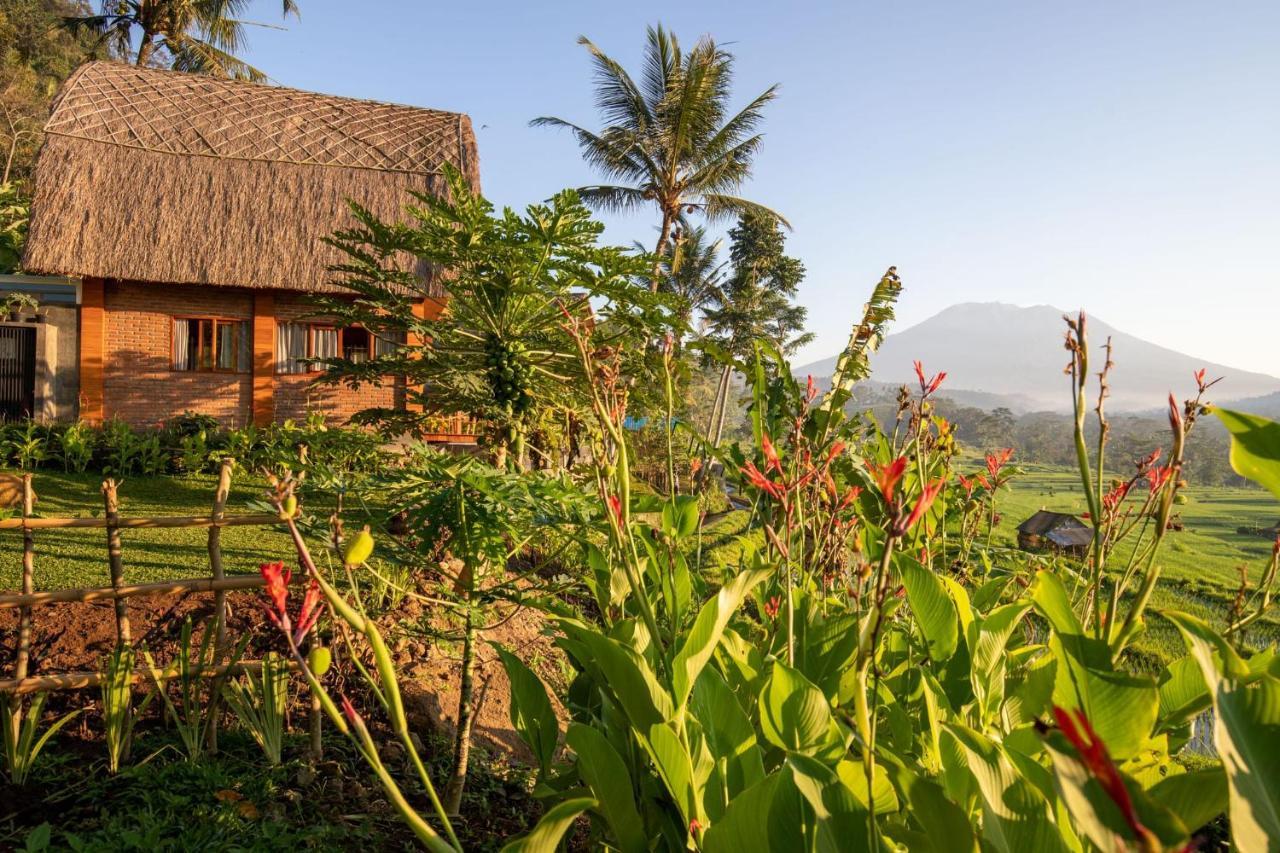 Romantic Barn With Mt. Agung Views ซิเดอมัน ภายนอก รูปภาพ